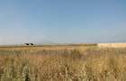 Teren intravilan la intrare in Bod, dinspre Sanpetru - 5