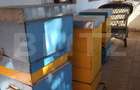 Casă renovată cu farmec istoric, livadă și 3.600 mp de teren | Teiș - 14