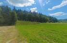 Teren 3291 mp Vulcan, Brașov – 23 €/mp , Comision 0% - 6