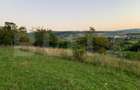 Teren intravilan,18000 mp, situat in  Sopor, Exclusivitate! - 4