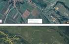 Teren arabil din 3 parcele - -53 300 mp, Sat. Grid - 7