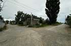 Hale de inchiriat in Tomesti, la str. Plopilor, de la 324mp la 2000mp - 7
