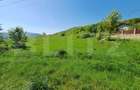 Teren intravilan de vanzare, 5000 mp, zona Viisoara, langa Metaller - 1