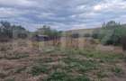 Casă cu teren generos de 5.300 mp, la doar 25 de minute de Cluj-Napoca - 4