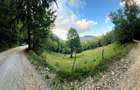 Teren extravilan 8635 mp, Pestera /Brasov - 3
