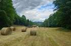 Un colt de natura intre padure si parau - 2