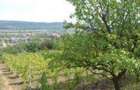 Teren, 3.000 mp ALBA, AIUD - 2
