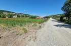 Teren intravilan 2000 mp – Popesti (Baciu) Ideal pentru casă, grădină și livada - 2