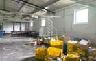 Spatii productie si depozitare, zona Sebis - Prunisor-Carand - 11
