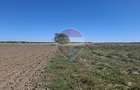 Vanzare teren extravilan 5.000mp - Pantelimon - 5