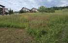 Teren de vanzare in Campina, Muscel - 3
