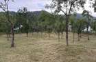 Teren 952 mp, Muereasca, la 15 min de centrul orasului Rm Valcea - 9
