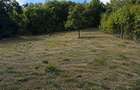 Teren intravilan | 551 MP | Zona Micesti | Vedere panoramică - 1
