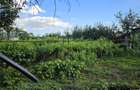 Casă cu potențial, 4 camere, lângă pădure-Jud Giurgiu-Mihai Bravu. - 5