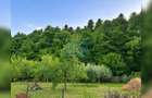 Casă P+M cu teren de 1.000 mp, situată la marginea pădurii - 5