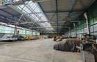 Hala industriala depozitare/logistica/productie in Ghimbav, 4900mp - 4