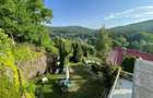 Cabana/Vila de inchiriat Valea Budului, Margineni - 29
