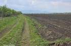 Oportunitate de investiție cu Exclusivitate! BOD, teren agricol! - 1