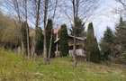 Proprietate de vacanta Valea Oltului - BREZOI - 22