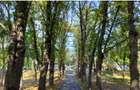 2 camere Parcul Verdi Floreasca  - 3