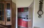 BANATIM - 6 CAM - 2 CASE INDIVIDUALE - CURTE - GRADINA - CENTRALA - 2