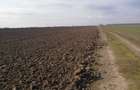 Teren  stradal , zona in dezvoltare , posibil marire suprafata . - 4
