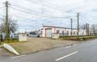 Hale depozitare/producție 2.000 mp si 10.000 mp teren în Pecica - 11