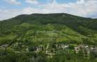 Teren spectaculos cu padure, livada si priveliste panoramica in Soimari PH - 2