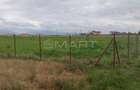 Teren  intravilan cu PUZ 30.000 mp Prejmer - 3