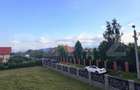 Casă P+1 de vânzare 232 mp utili, teren 500 sau 1.000 mp,  în Bod - 3