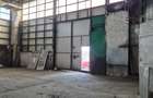 Spatii de productie si depozitare, excelent pozitionate - 3