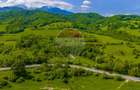 Teren 1ha Valea Glăjeriei - Rasnov | Comision 0% - 6