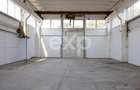 Două hale de închiriat – 863 mp | Calea Moinești | Zonă industrială - 11