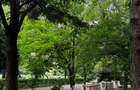 Garsoniera de vanzare complet renovata / Stefan Cel Mare / Direct propietar - 8