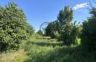Teren intravilan de vanzare | 11.000 mp | Ghirdoveni | Comision 0% - 5