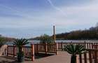 Proprietate exclusivista pe lacul Snagov 490000 euro / Chirie 2500 eu/luna - 25