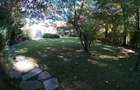 Vila 2.700mp, Paradisul Verde, cu piscina si padure proprie - 17