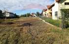 Teren intravilan 1000 mp, Snagov, toate utilitatile, zona padure / lac - 2