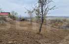 Teren de vanzare, 900 mp, zona Visan - str. Regina Maria - 1