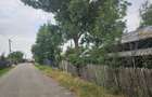 Teren pentru casa Izvoru, gaze, apă, canal, curent, central - 10