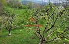 ●Casa de vacanta in Breaza, 3 camere, teren 1906 mp, 120.000e● - 4