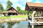 Cabana de vanzare pe Valea Avrigului - 1