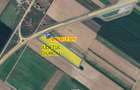 9 ha, Intravilan, Centura Mihailesti, Barter, Joint Venture sau Vanzare - 3
