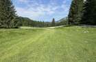PREDEAL - Teren intravilan 6,000 m² -Poiana Secuilor - 9
