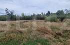 Teren intravilan, 6850 mp, Simnicul de sus