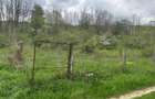 Imobil comercial/turistic S+P+2 - oportunitate investitie Muereasca ( Valcea)  - 9