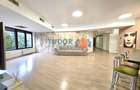 Beautiful 4 Bedroom Apartment with Herastrau Park View - 3