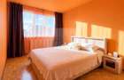 COMISION 0!Oportunitate investiție-Vânzare apartament 3 camere, Centru - 4