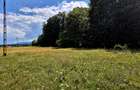 Teren 1000 mp intravilan/Sambata de Sus Brasov - 10