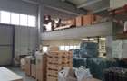 Hala logistica/industriala de vanzare in Timisoara-Calea Sagului 5.508mp. - 2